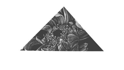 Flor entre un triangulo