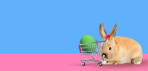 Easter bunny rabbit with shopping cart and painted egg.