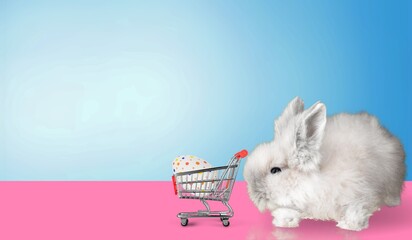 Easter bunny rabbit with shopping cart and painted egg.