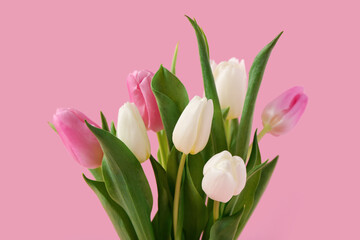 Beautiful tulips on pink background. International Women's Day