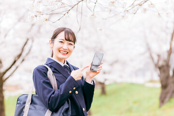 桜の中でスマホを使う中学生・高校生・女子高生・女子高校生
