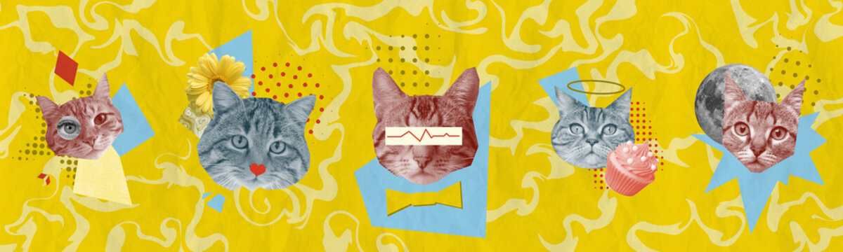 Retro Art Creative Collage. Party Vintage Poster. Cat Disco Montage. Artwork Illustration. Copy Space Design. Textured Background.