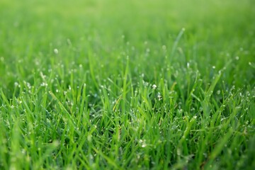 background textures wall for artworks