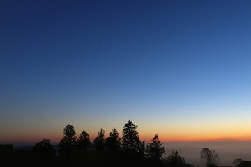 background textures wall for artworks