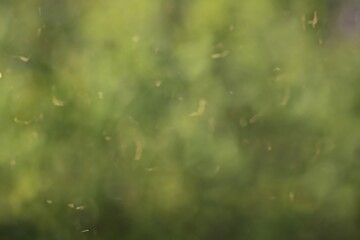 background textures wall for artworks