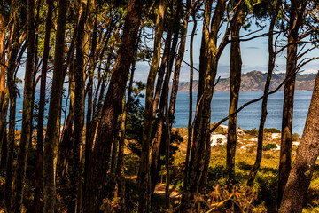 Paisaje en las Islas C&iacute;es, Galicia.