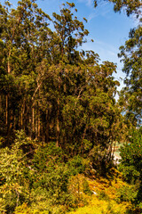 Paisaje en las Islas Cíes, Galicia.