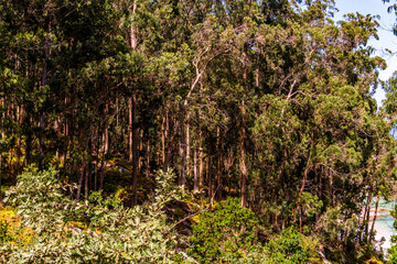Paisaje en las Islas Cíes, Galicia.