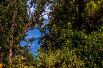 Paisaje en las Islas Cíes, Galicia.