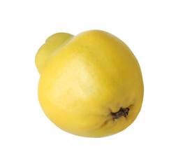 Delicious fresh ripe quince isolated on white