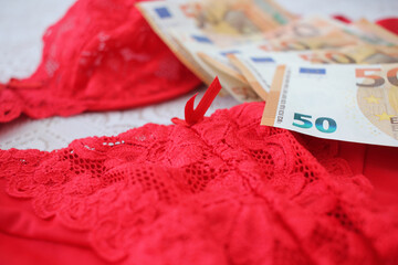 some euro bank notes on lingerie
