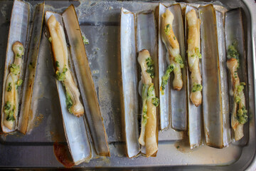 razor clams to eat in Galicia, Spain