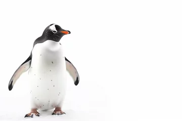 Papier Peint photo autocollant Antarctique Penguin on White Background 