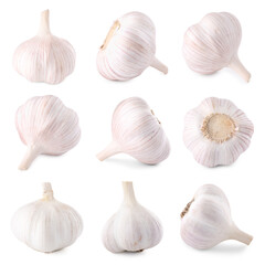 Fresh garlic bulbs isolated on white, set