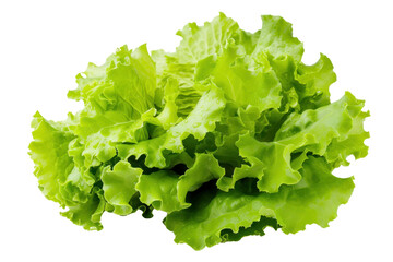 Fresh lettuce isolated on transparent and white background.PNG image