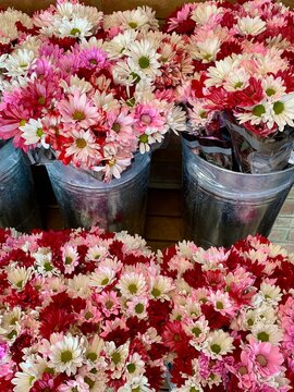 Buckets of red and white flower bouquets for sale at market