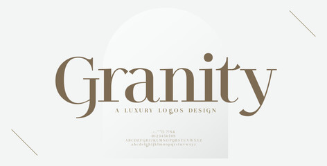 Luxury alphabet letters logo font and number. Classic Elegant Lettering Minimal Fashion. Typography fonts regular logos. vector illustration