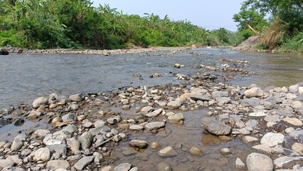 River bank with rocks and green trees