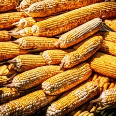 Mexican street corn pieces forming intricate patterns