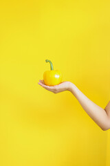 Female hand holding yellow paprika isolated over yellow background