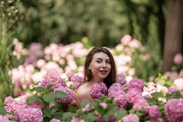 Fototapeta premium Hydrangeas Happy woman in pink dress amid hydrangeas. Large pink hydrangea caps surround woman. Sunny outdoor setting. Showcasing happy woman amid hydrangea bloom.