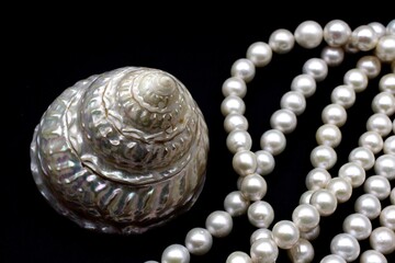 Beautiful nacre of a white seashell with round pearls ready to become a necklace, some of the...