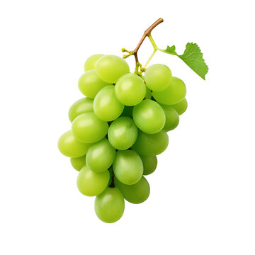 PNG Image of Isolated Grape