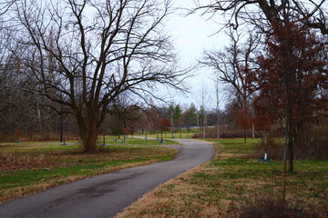 country road in autumn