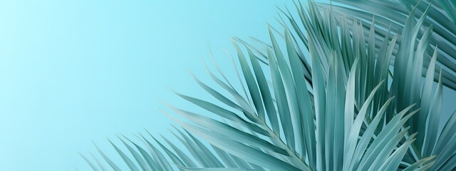 Fototapeta na wymiar Palm leaves blue background,used for presentation of natural organic cosmetic products business for sale online shop Summer tropical beach with minimal concept