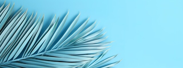 Obraz premium Palm leaves blue background,used for presentation of natural organic cosmetic products business for sale online shop Summer tropical beach with minimal concept
