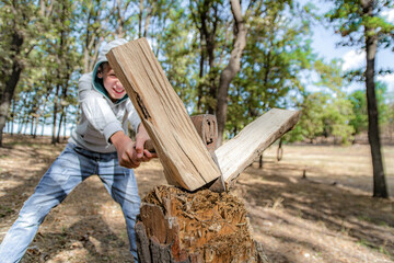 A boy chopped wood with an ax in a forest on a stump, wide angle HDR photo.