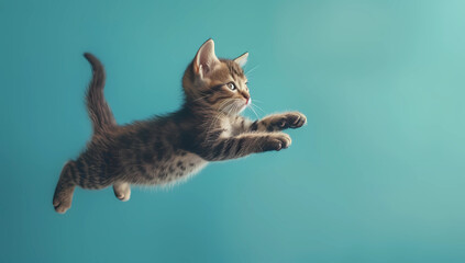 small cat and superhero flying on blue background - obrazy, fototapety, plakaty