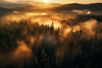 Foto op Plexiglas (2:3) enchanting aerial view of the vibrant magical foggy woods at sunset, evoking a sense of serenity and fantasy. Generative AI © Carter
