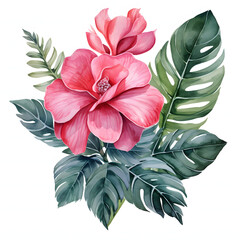 Pink rose combined with large monstera leaves for a modern twist, colorful watercolors, watercolor illustration, cute cartoon , sharp outline, white background for removing background, single object.