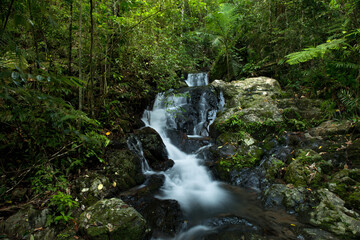 rainforest waterfall, Cape Tribulation, Queensland, Australia