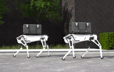 Robot dog delivering goods, delivery robotic concept