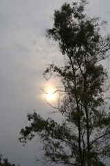 Naturaleza sin límites