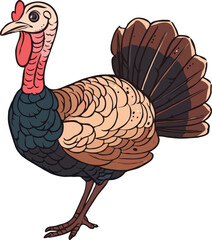 Turkey Flat Illustration