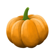 pumpkin vegetable illustration in png format