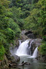 Obraz premium Bushwalking at the Crystal Cascades near Cairns, Queensland, Australia