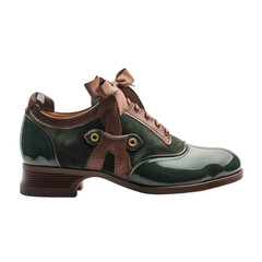 Green and Brown Shoe With Bow