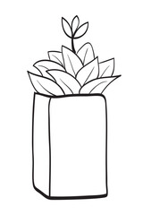 Coloring book or Coloring page for kids. Plant in Pot Drawing.
