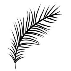 Palm leaves silhouette