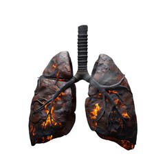 Human Lungs Engulfed in Flames