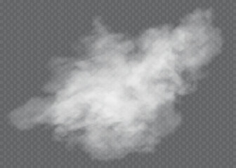 Transparent special effect stands out with fog or smoke. White cloud vector, fog or smog