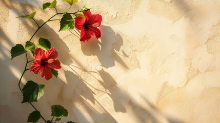 lone hibiscus stands defiant against the stark backdrop of a concrete wall