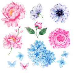 Watercolor clipart pink peonies, purple anemones and blue hydrangea. Flower clipart for invitations, cards, cute card designs.