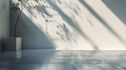 Obraz premium Empty room, Morning light creates shadows on a textured white concrete wall and floor.