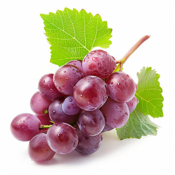 side view of grape Isolated on white background no shadow