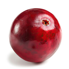 One large ripe Cranberry isolated on white Background
